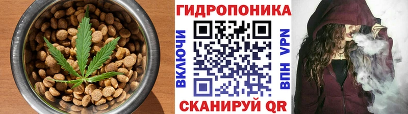 Купить где  Гвардейск  Cannafood конопля 